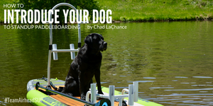 How to Introduce Your Dog to Stand Up Paddleboarding