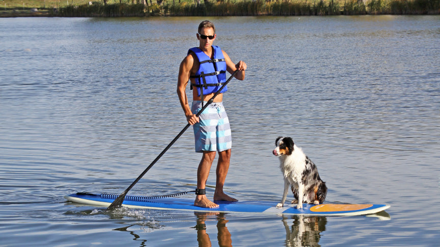 The SUP Industry Today – Airhead